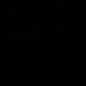 Meet your Posher, Daisy